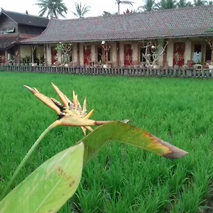 Rice Padi Artha Ubud