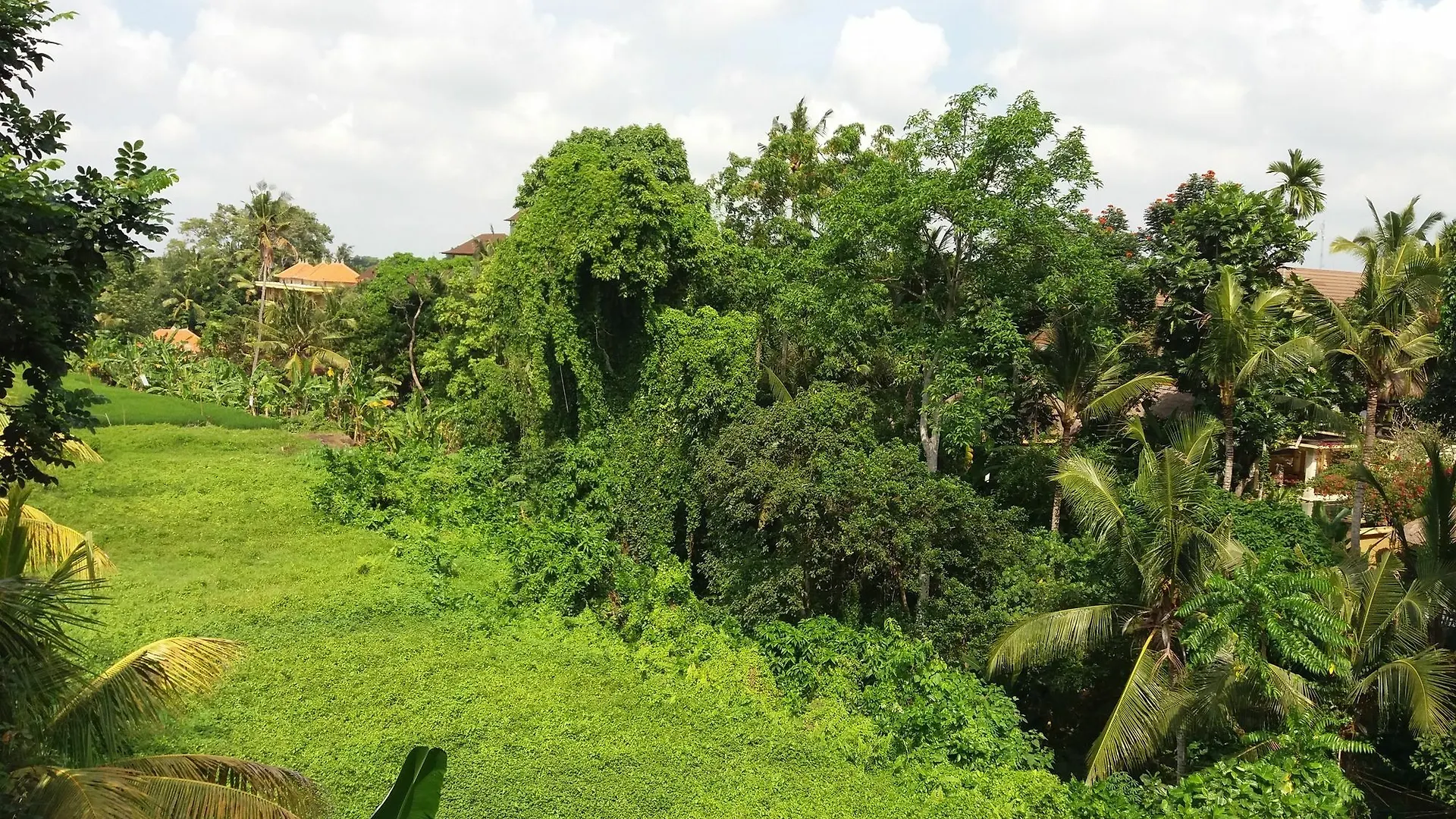 Amoya Inn Ubud