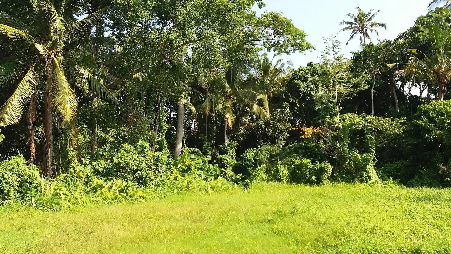 Amoya Inn Ubud  Guest house