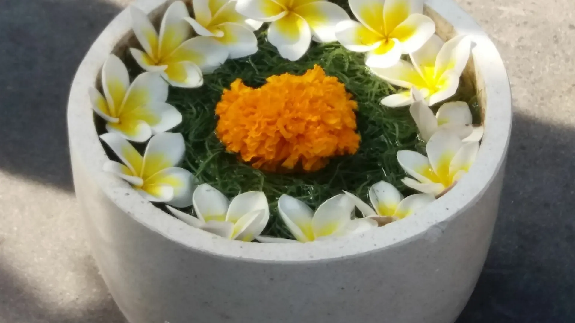 Guest house Amoya Inn Ubud