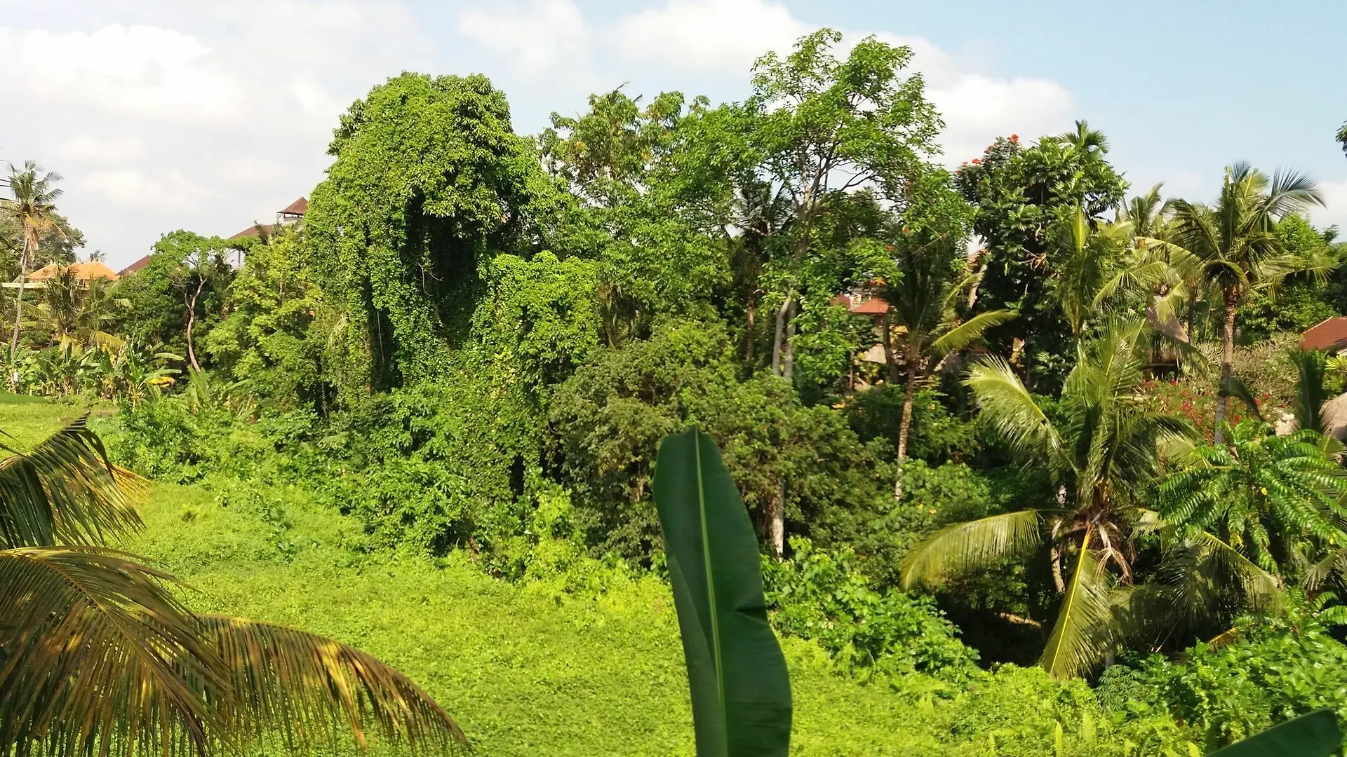 Amoya Inn Ubud